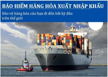 IMPORT AND EXPORT CARGO INSURANCE